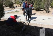 گزارش تصویری مراسم روز درختکاری